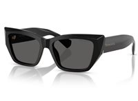 Sunglasses Tiffany Woman 0TF42308001S454 - 0TF42308001S454